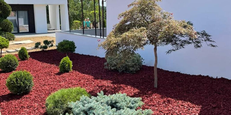 PROFESSIONAL GARDEN | Plante