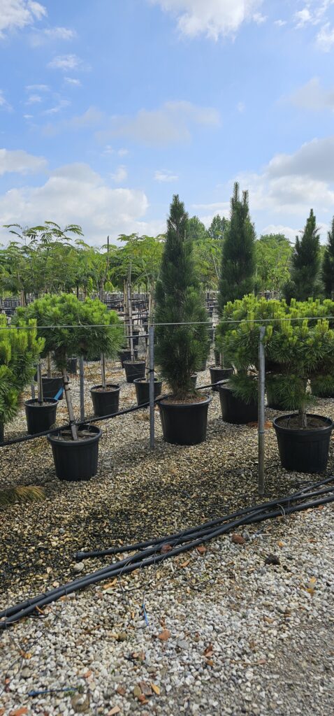 PROFESSIONAL GARDEN | Galerie