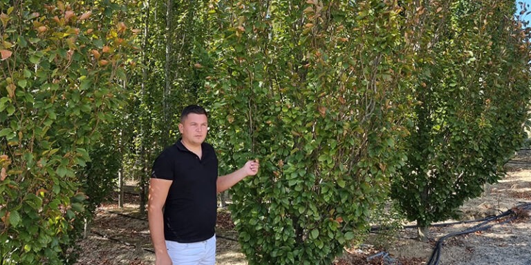PROFESSIONAL GARDEN | Copaci
