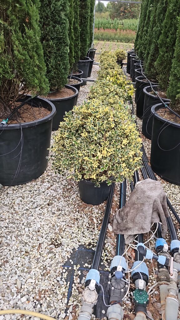 PROFESSIONAL GARDEN | Galerie