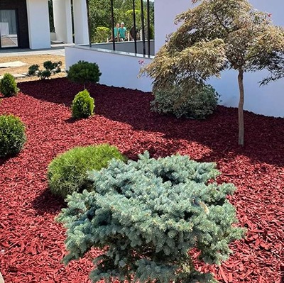 PROFESSIONAL GARDEN | Home